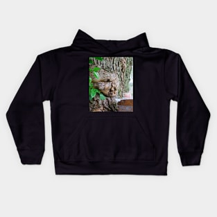 The Tea, The Tree, & The Lady Kids Hoodie